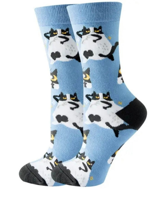 Funny Socks, Katze